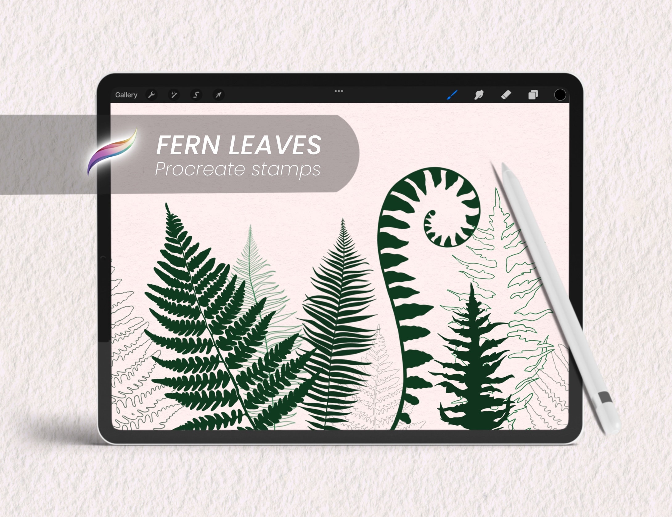 10 fern leaves Procreate brush stamps | Procreate digital flora brushes | Botanicals | Fern leaf stamp silhouette | Forest foliage