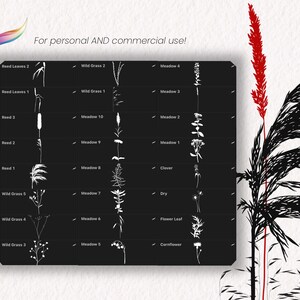 Botanical Procreate BUNDLE 100+ Stamps and Brushes | Foliage and ...