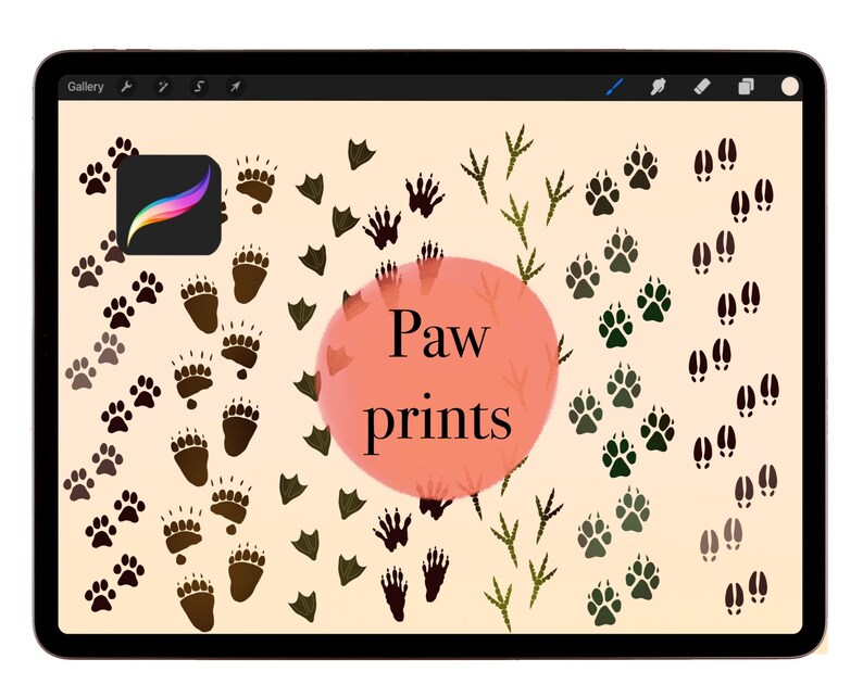 14 Animal Paws Procreate Stamp Brushes Digital Brushes and Etsy