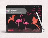 21 Bird Procreate stamp brushes | Digital brushes for Procreate | Flying bird stamps | Animal silhouette | Flamingo Eagle Parrot Doves etc