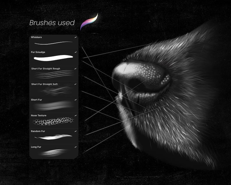 Animal Fur Brushes for Procreate Realistic Animal Hair and Etsy