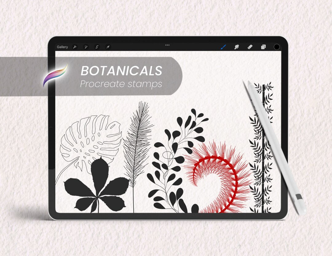 55 Plant Leaves for Procreate | Hand Drawn Botanical Stamps and Brushes ...