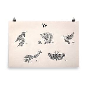 Ys, Hand-drawn, Poster, Print, Handmade, Illustration, Animal Drawing, Animals, Meadowlark, Monkey and Bear, Dove, Squid, Cosmia, Moth image 1