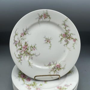 Theodore Haviland Limoges 8” Salad Plates Pink Roses Schleiger 154 Set Of 8