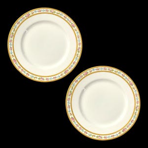 Charles Ahrenfeldt Limoges France Dinner Plates Raised Gold Ovington Bros.