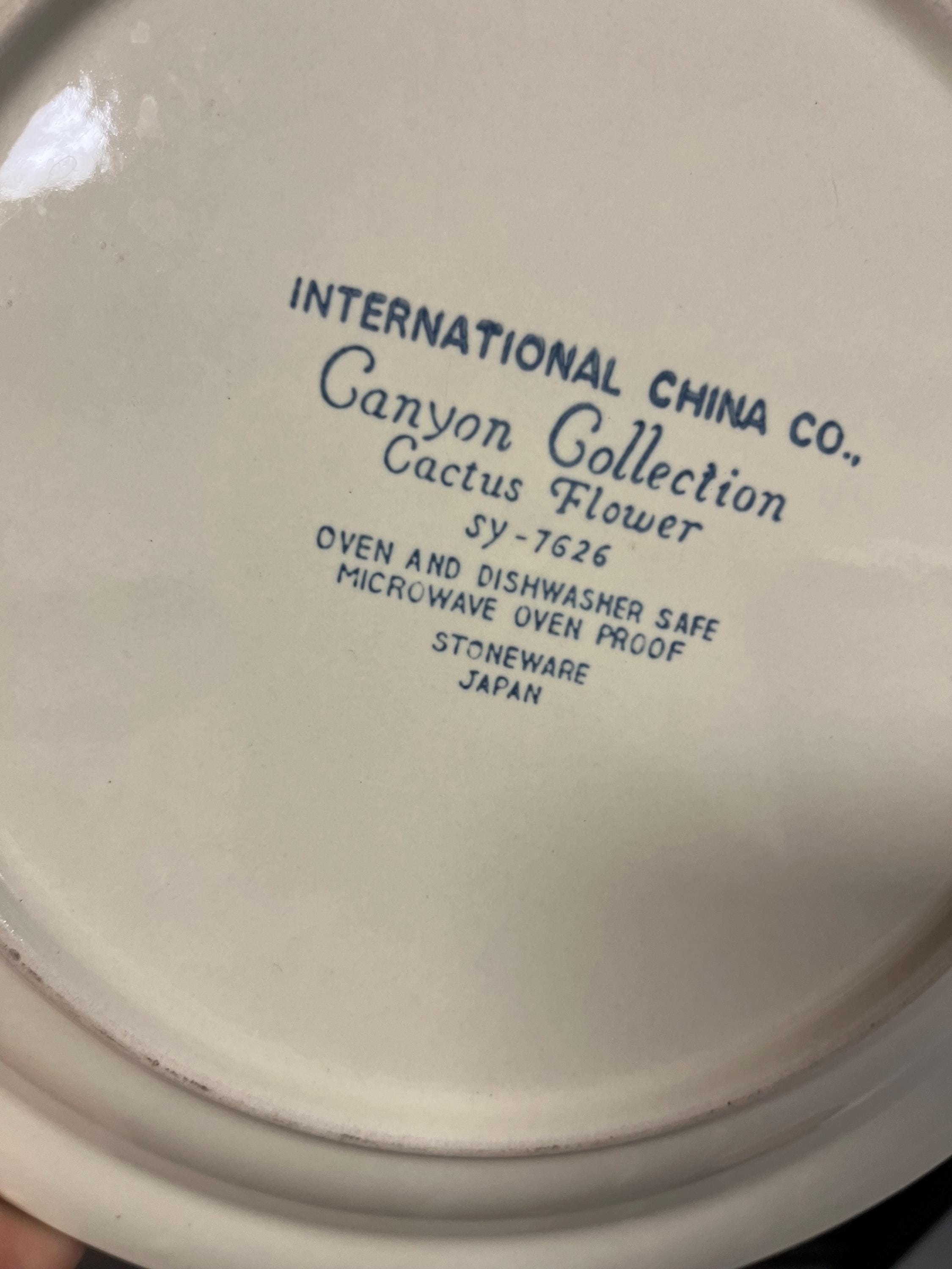 Int'l China 1970s Canyon Collection Dinner Plates Japanese