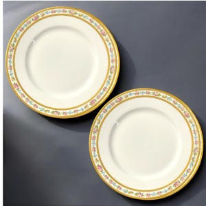 Conjunto de 2 pratos de jantar florais de porcelana Charles Ahrenfeldt Limoges Ovington Bros.