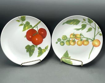 Pillivuyt France Pate Pillenium - Platos de ensalada de tomate (porcelana, 2 unidades)