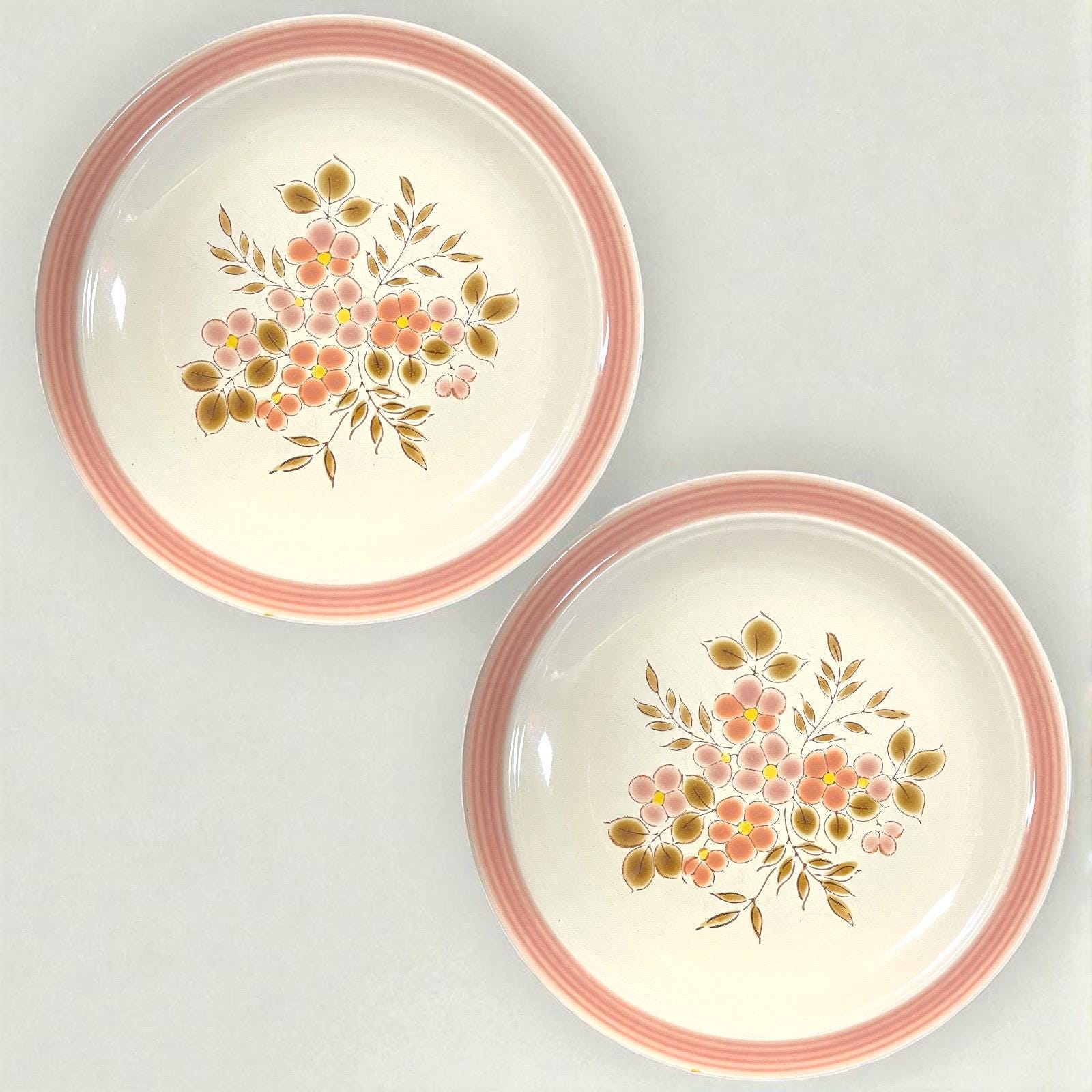 Int'l China 1970s Canyon Collection Dinner Plates Japanese