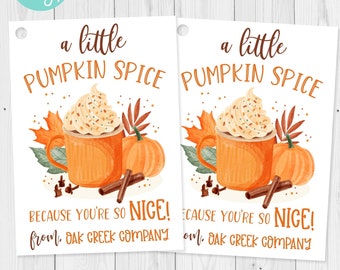 May include: Two white gift tags with a fall theme. Each tag features a watercolor illustration of a pumpkin spice latte, pumpkins, and cinnamon sticks. Text reads "a little PUMPKIN SPICE" and "BECAUSE YOU'RE SO NICE!"