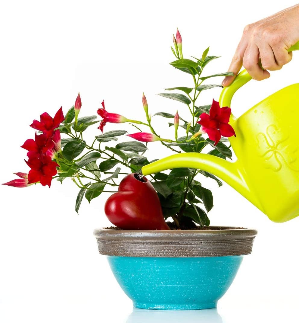 Hearts Terracotta Watering Globes 3 Self Watering System Etsy UK