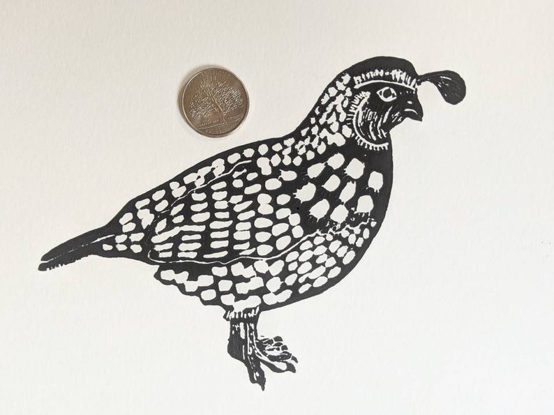 Mini Birds Series Hand printed California quail on 8 x 10 heavy weight paper