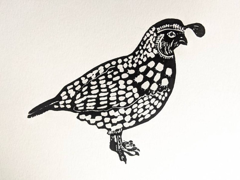 Mini Birds Series Hand printed California quail on 8 x 10 heavy weight paper