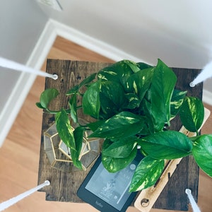 May include: A wooden hanging shelf with a potted plant, a gold geometric terrarium, a Kobo e-reader, and a wooden incense holder with a yin yang symbol.