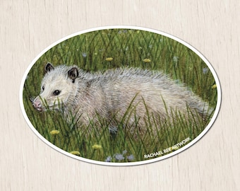 Opossum Sticker | Virginia Opossum | Wildlife Sticker | Opossum Gifts | Opossum Lovers | Wildlife Lovers | Opossums | Opossum Art | Possum