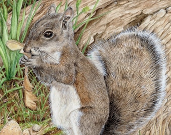 Grauhörnchen Art Print - Grauhörnchen Geschenke | Aquarell | Naturliebhaber | Cottagecore | Gärtner Geschenk