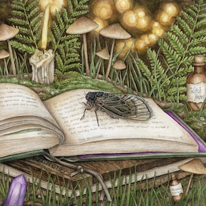 Cicada Art Print - &quot;Albus the Periodical Cicada&quot; | Cicada Art | Insect Lovers | Insect Gifts | Magical Art | Periodical Cicada | Cottagecore