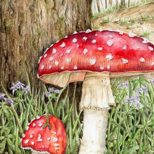 Mushroom Art Print - &quot;Infamous Fly Agaric&quot; | Mushroom Art | Mushroom Watercolor | Fungi Gift | Mushroom Gifts | Mushroom Lovers | Toadstool