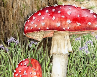 Pilz Kunstdruck - Aquarell | Pilz Geschenke | Fliegenpilz | Fliegenpilz | Fliegenpilz | Cottagecore | Magisch