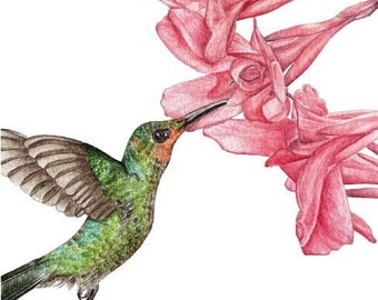 Hummingbird Art Print - "The Hummingbird" | Hummingbird Art | Hummingbird Watercolor | Bird Lovers | Bird Gifts | Hummingbird Gifts | Birds