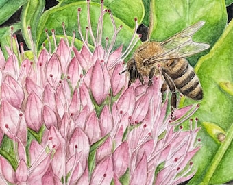 Honey Bee Art Print - "Lessons From the Honey Bee" | Honey Bee Watercolor | Honey Bee Lovers | Bee Art | Bee Lovers | Honey Bee Gifts