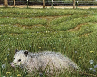 Impression d'art Opossum - Cadeaux pour jardinier | Faune sauvage | Aquarelle | Cottagecore