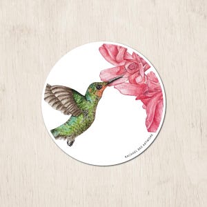 Hummingbird Sticker | Watercolor Art Sticker | Bird Sticker | Bird Gifts | Hummingbird Art | Bird Art Sticker | Nature Sticker