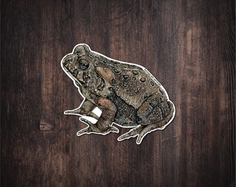 American Toad Sticker | Watercolor Art Sticker | Toad Sticker | Toad Gifts | Nature Sticker | Wildlife Gifts | Gardener | Toad Lovers