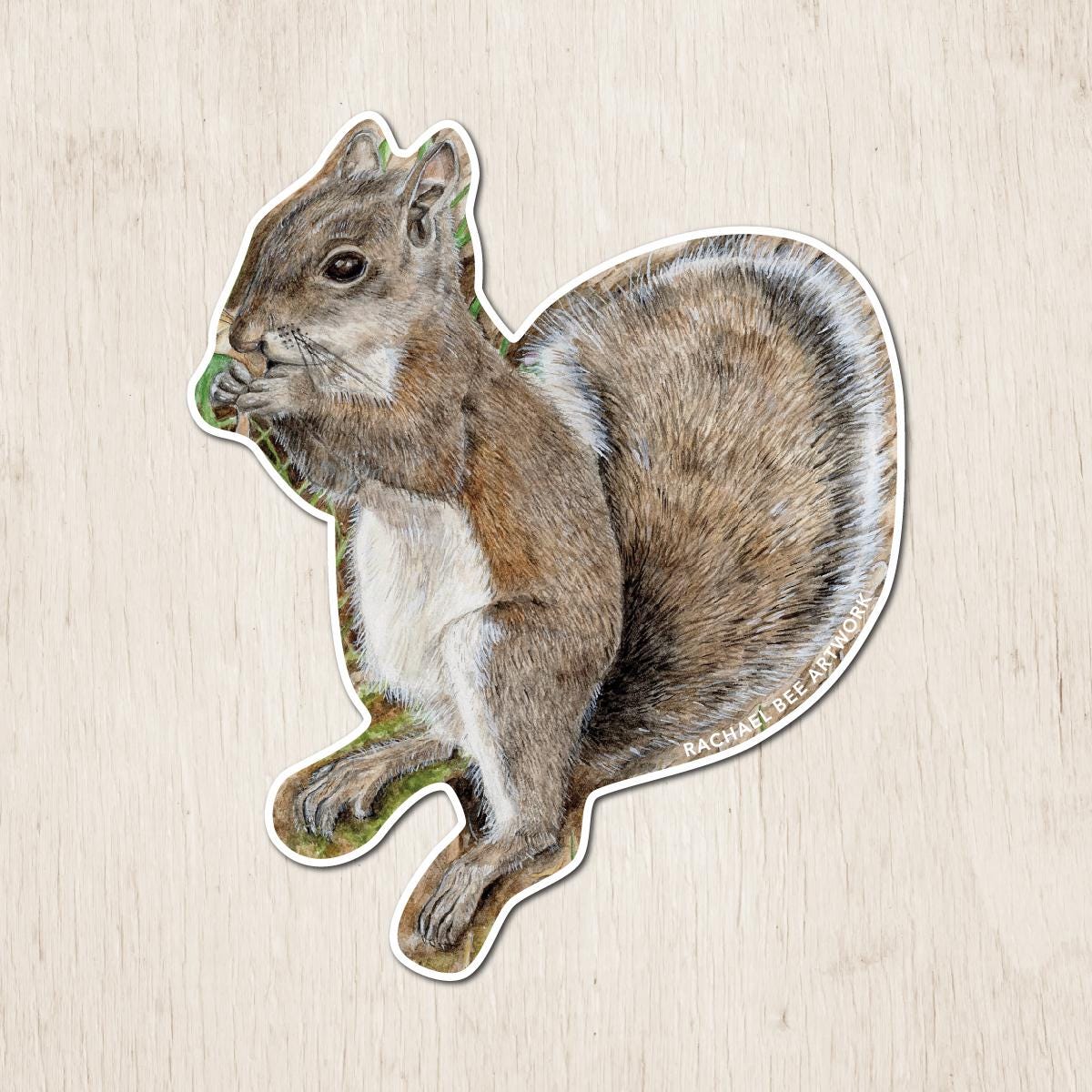 Squirrel Sticker | Watercolor Art Sticker | Wildlife Sticker | Squirrel ...