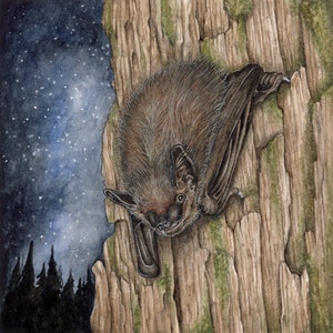 Bat Art Print - &quot;Bruce the Big Brown Bat&quot; | Bat Art | Bat Watercolor | Bat Gifts | Bat Lovers | Wildlife Gifts | Wildlife | Nocturnal | Bat