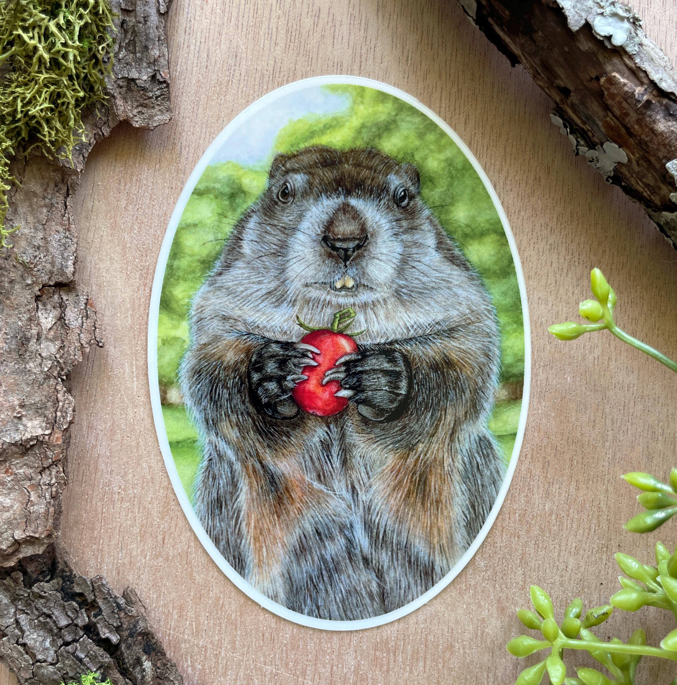 Walter the Groundhog Sticker | Art Sticker | Wildlife Sticker ...