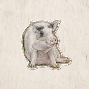 Patti the Pig Sticker | Watercolor Art Sticker | Pig Sticker | Pig Gifts | Animal Sticker | Vegan Gifts | Farm Sanctuary