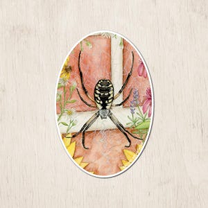 Garden Spider Sticker | Watercolor Art Sticker | Spider Sticker | Spider Gifts | Spider Art | Spider Art Sticker | Nature Sticker