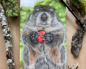 Diario de la marmota - Marmota / Regalos de la marmota / Diario de la naturaleza / Amantes de la naturaleza / Amantes de la marmota / Regalos de jardín / Regalos de vida silvestre