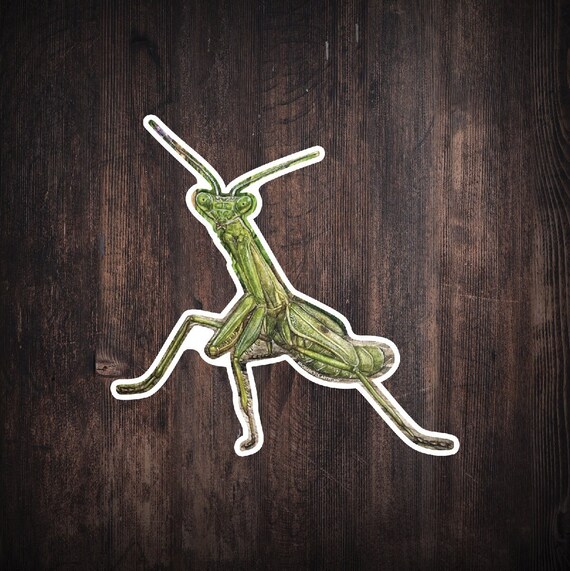 Praying Mantis Sticker Watercolor Art Sticker Insect - Etsy