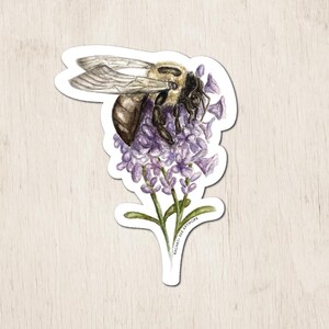 Bee Sticker | Watercolor Art Sticker | Insect Sticker | Bee Gifts | Bee Art Sticker | Nature Sticker | Save the Bees | Bee Lovers