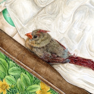 Female Cardinal Art Print - &quot;For Ava&quot; | Cardinal Art | Cardinal Watercolor | Female Cardinal | Bird Lovers | Bird Gifts | Bird Art | Birds