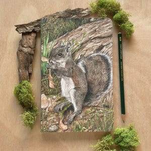May include: A detailed drawing of a gray squirrel sitting on a log, eating a nut. The squirrel is surrounded by green foliage and brown leaves. The drawing is done in pencil and has a realistic style.