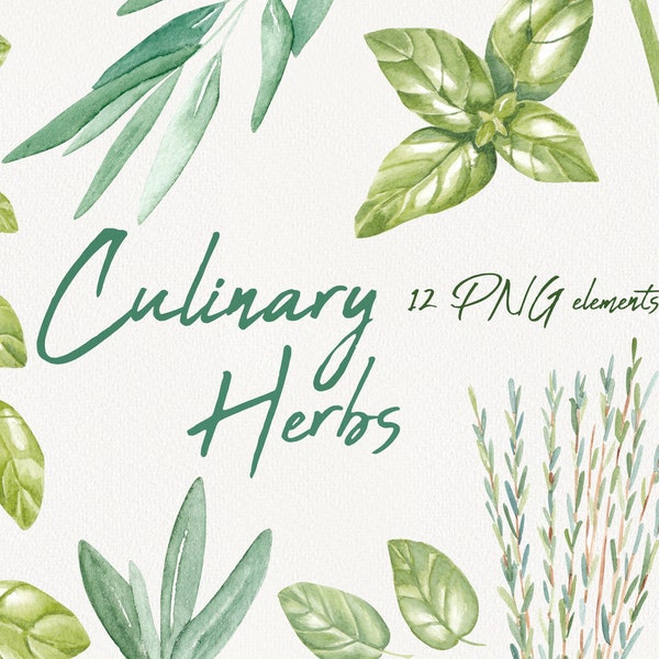 Watercolor Culinary Herbs, Watercolor Botanical ClipArt, Watercolor Basil, Watercolor Sage, Watercolor Rosemary, Watercolor Lemongrass, PNG