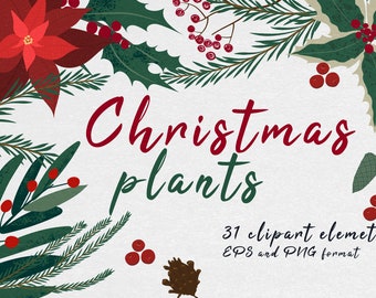 Christmas plants clipart, PNG Christmas plants, EPS vector plants, Festive flovers, botanical clipart, mistletoe, evergreen, holly plant