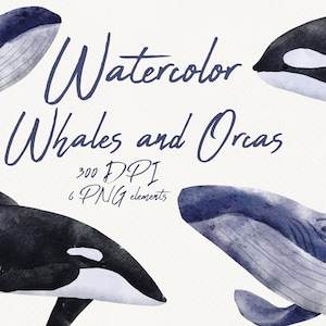 Watercolor Whales Clipart, Instant Download, Blue whales, Whales set, Underwater animal, PNG clipart, Whale prints, blue whale illustration