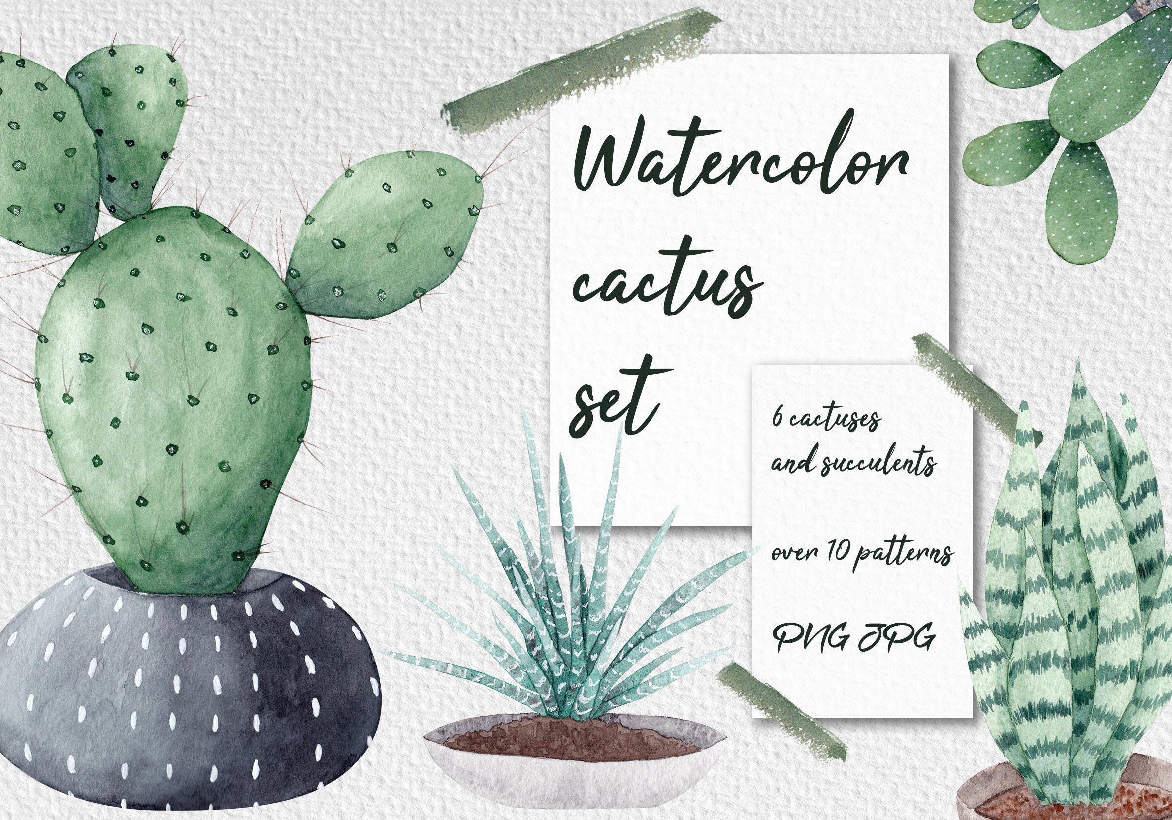 cactus and plant pots 9357097 PNG