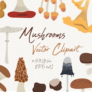 Op de afbeelding: Een verzameling verschillende paddenstoelillustraties in aardetinten, waaronder bruin, beige, rood en geel. De woorden "Mushrooms Vector Clipart" zijn geschreven in een handschriftstijl. De afbeelding bevat 19 PNG-bestanden, EPS & AI.