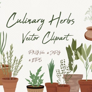 Op de afbeelding: Vector clipart illustraties met diverse culinaire kruiden in terracotta potten. De afbeelding bevat de tekst "Culinary Herbs Vector Clipart" en "PNG files & JPG & EPS". De kruiden zijn in verschillende groentinten.