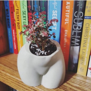 May include: A small, potted plant with green and pink leaves in a white ceramic planter shaped like a human body. The planter is sitting on a wooden shelf with a row of books behind it.