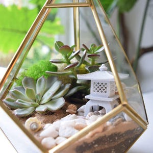 Gold Lantern Succulent Terrarium Kit: DIY Desk Plant Gift