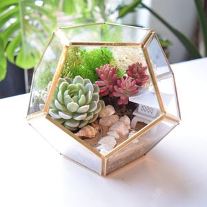 Geometric Gold DIY Terrarium Kit | DIY Succulent Garden, Home Decor
