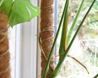 Extendable Coco Coir Moss Pole: Plant Support for Monstera, Philodendron
