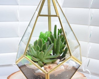 Terrarium Kit with Plants Succulent or Cactus - 26cm Gold Lantern - Terranium Kit - Succulent Terrarium - Desk Gift - Plant gift