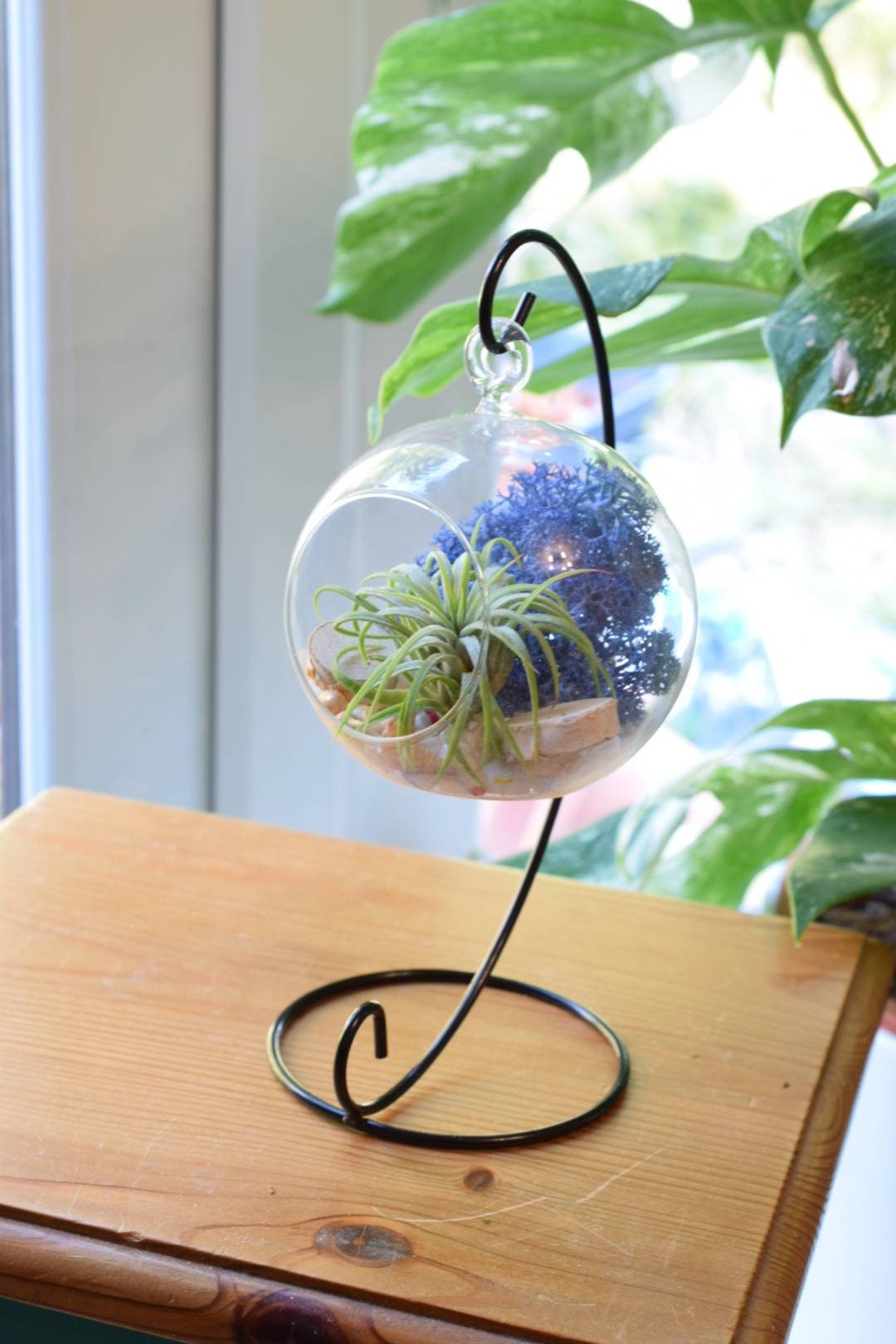 DIY Terrarium Air Plant Kit Hanging Terrarium Glass Terrarium Air Plant Holder Gardner Gift